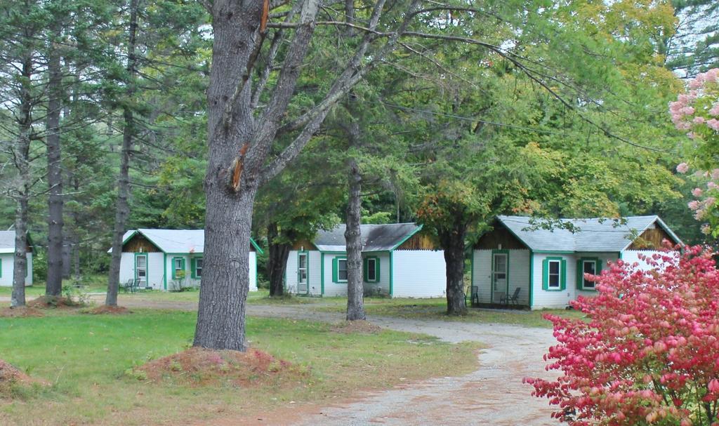 松谷小屋汽车旅馆 Thornton 客房 照片